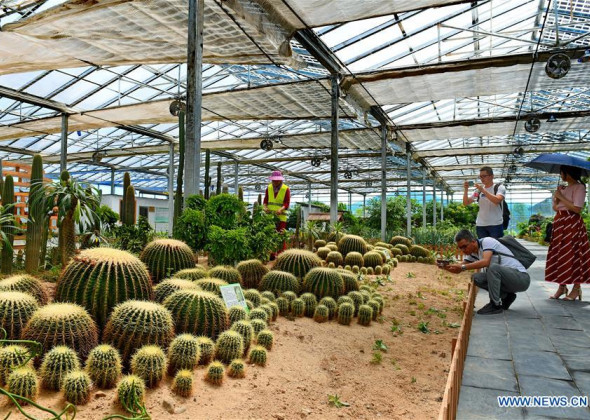 New Way of Poverty Alleviation 